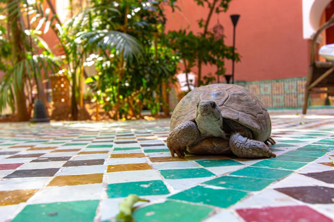 Riad Kaiss By Anika Marrakesh